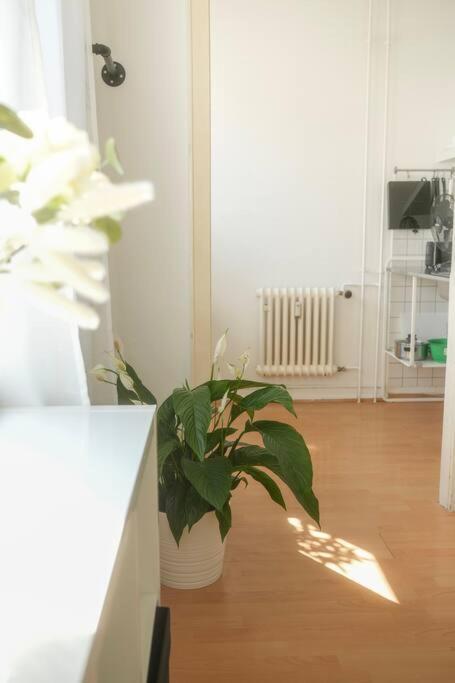 Stadtoase Wohnung Nahe Hauptbahnhof Koblencja Zewnętrze zdjęcie